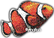 flyingfish - Home